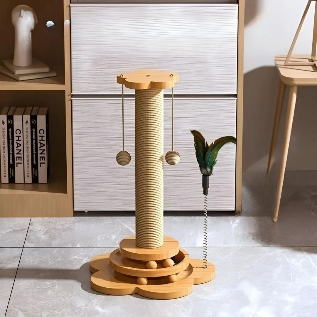 5in1 Kratzbaum Spielzeug
