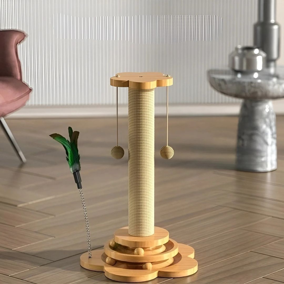 5in1 Kratzbaum Spielzeug