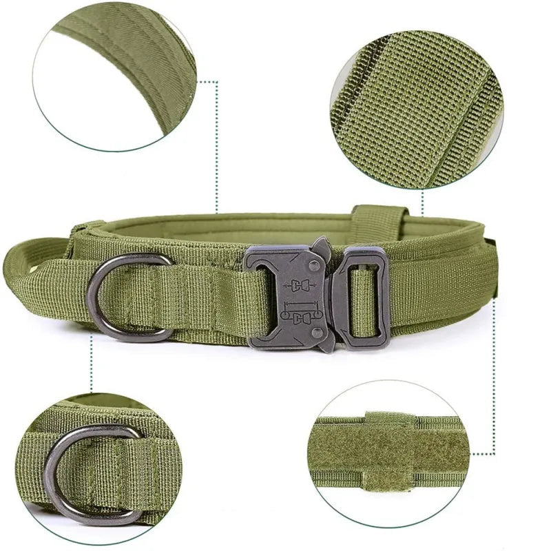 Verstellbares Nylon Hundehalsband mit Robustem Klickverschluss