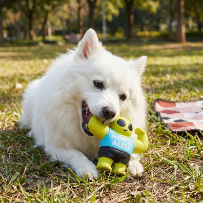 Robustes Muskelmann-Quietschspielzeug für Hunde