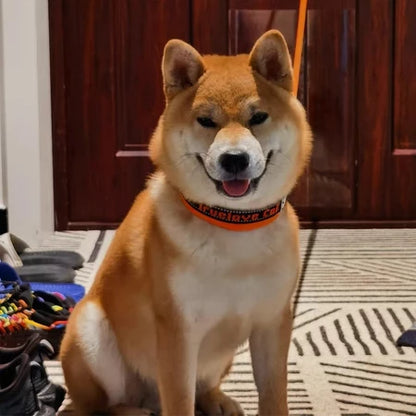 Verstellbares Soft-Hundehalsband mit Reflektierenden Nähten und Sicherheitsverschluss