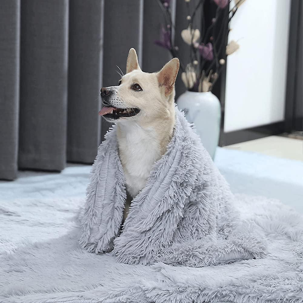 Hundedecke