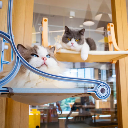 Katzenfensterbank mit Saugnäpfen – Bequeme Schlaf- und Ruhezone für Katzen