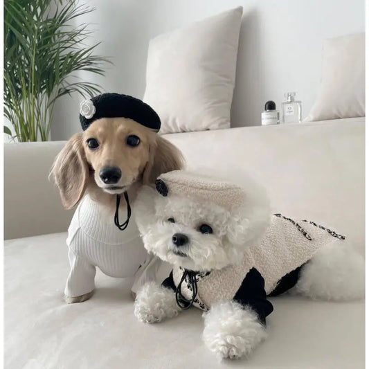 Elegantes Hundehalsband mit Schickem Hütchen und Blumenapplikation – Modisches Design für Deinen Vierbeiner