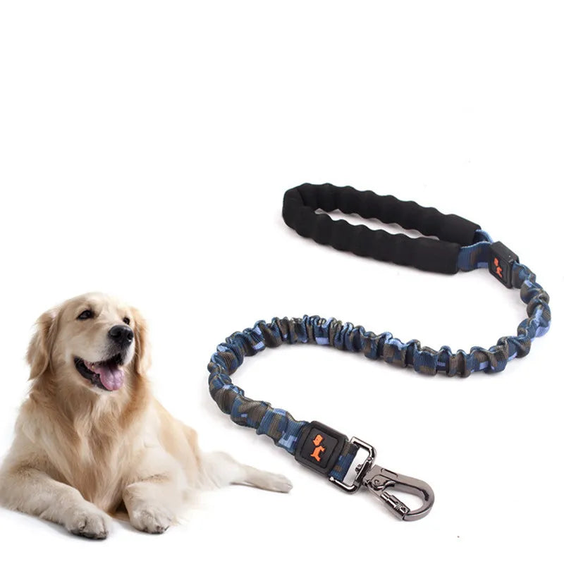 Elastische Hundeleine mit Stoßdämpfung – Verstellbare Nylon-Leine für Hunde