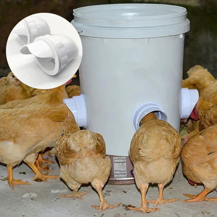 Selbstversorgendes Hühnerfutter-System