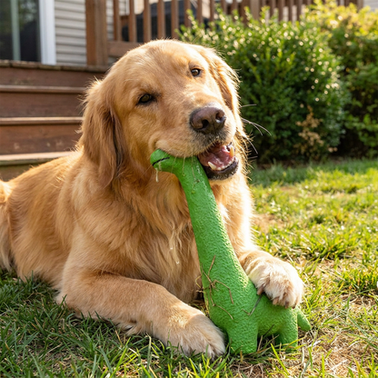 XXL Robustes Latex-Hundespielzeug zur Zahnreinigung