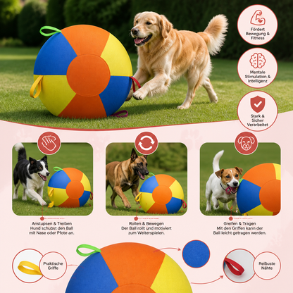 Interaktiver bunter Treibball mit Griffen für Hunde – Robustes Outdoor-Trainingsspielzeug