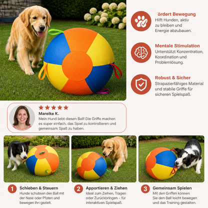 Interaktiver bunter Treibball mit Griffen für Hunde – Robustes Outdoor-Trainingsspielzeug