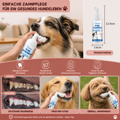 Zahnreinigungsschaum für Hunde – Für sauberere Zähne & frischen Atem
