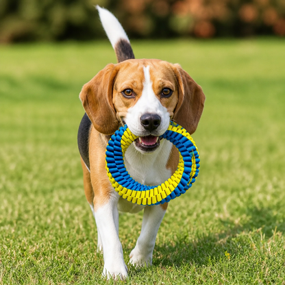 Robustes geflochtenes Ring-Zerr- & Kauspielzeug für Hunde