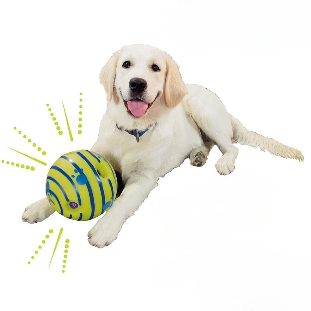 Kreativer Hundespielball mit interaktiven Funktionen