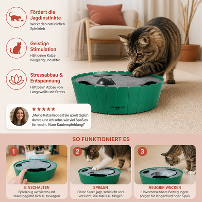 Interaktives Versteckspiel mit Maus für Katzen