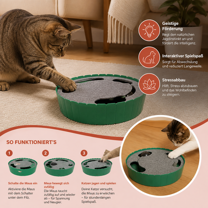 Interaktives Versteckspiel mit Maus für Katzen