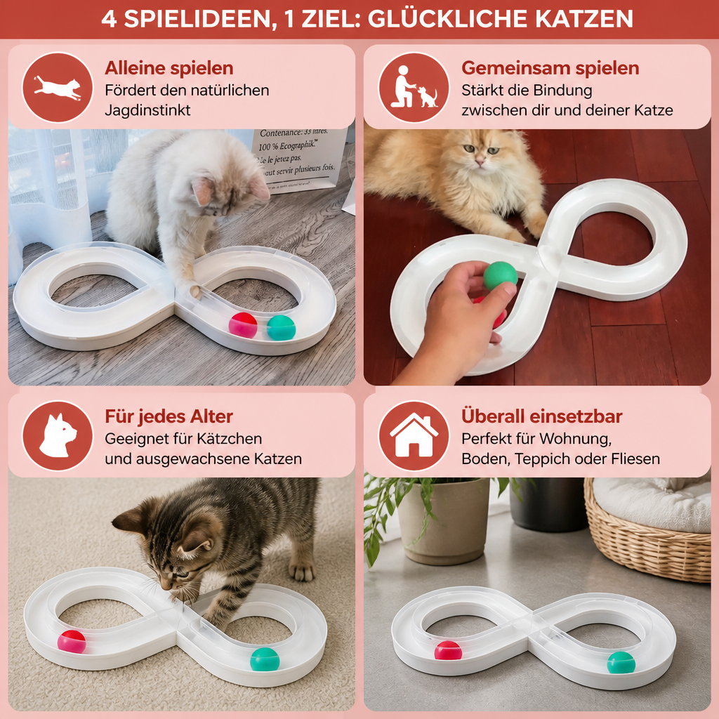 Interaktives Trackball-Spielzeug für Katzen