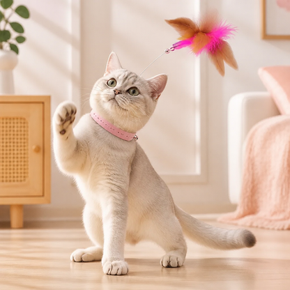 Interaktives Feder Katzenspielzeug mit Verstellbarem Halsband und Spannendem Spielspaß