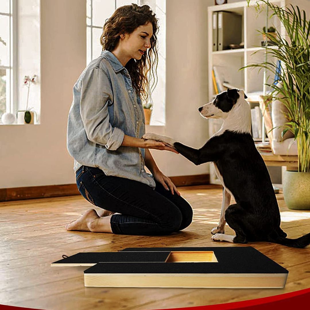 Hunde Leckerli Spielplatte zum Krallen Kürzen