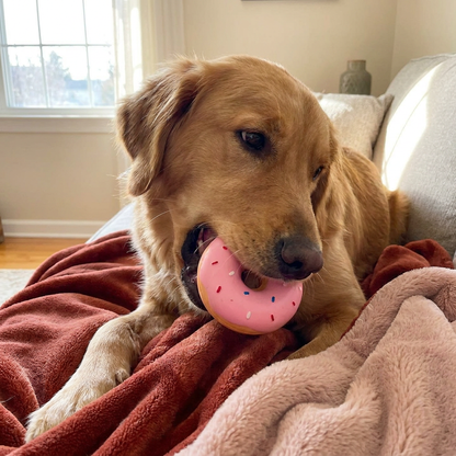 Buntes Donut-Quietschspielzeug für Hunde