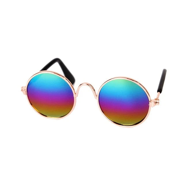 Modische Katzenbrille