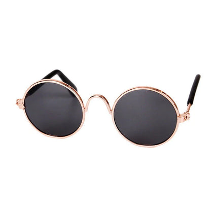 Modische Katzenbrille