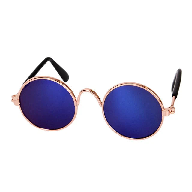 Modische Katzenbrille