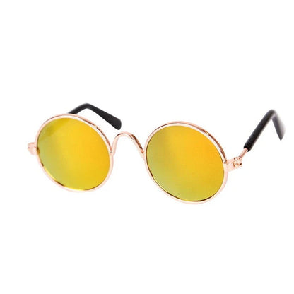 Modische Katzenbrille