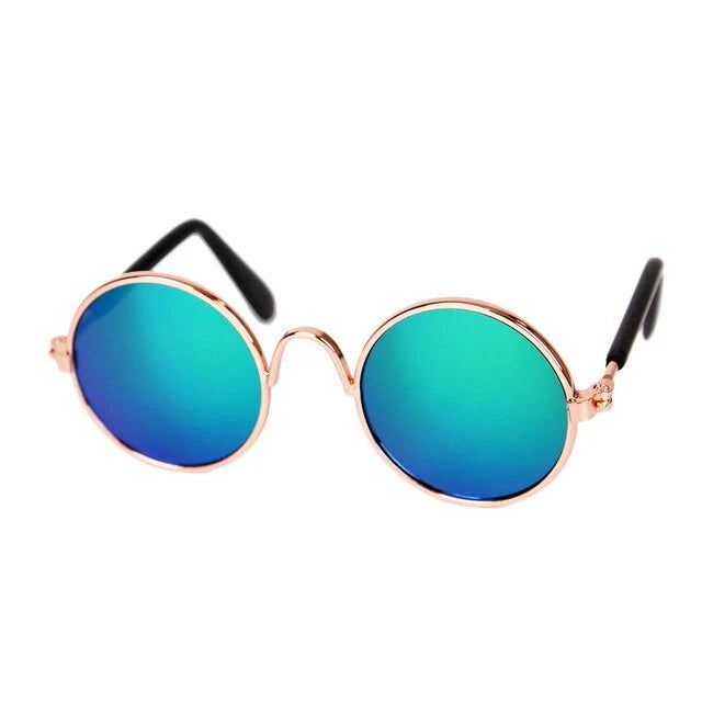 Modische Katzenbrille