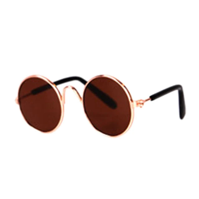 Modische Katzenbrille