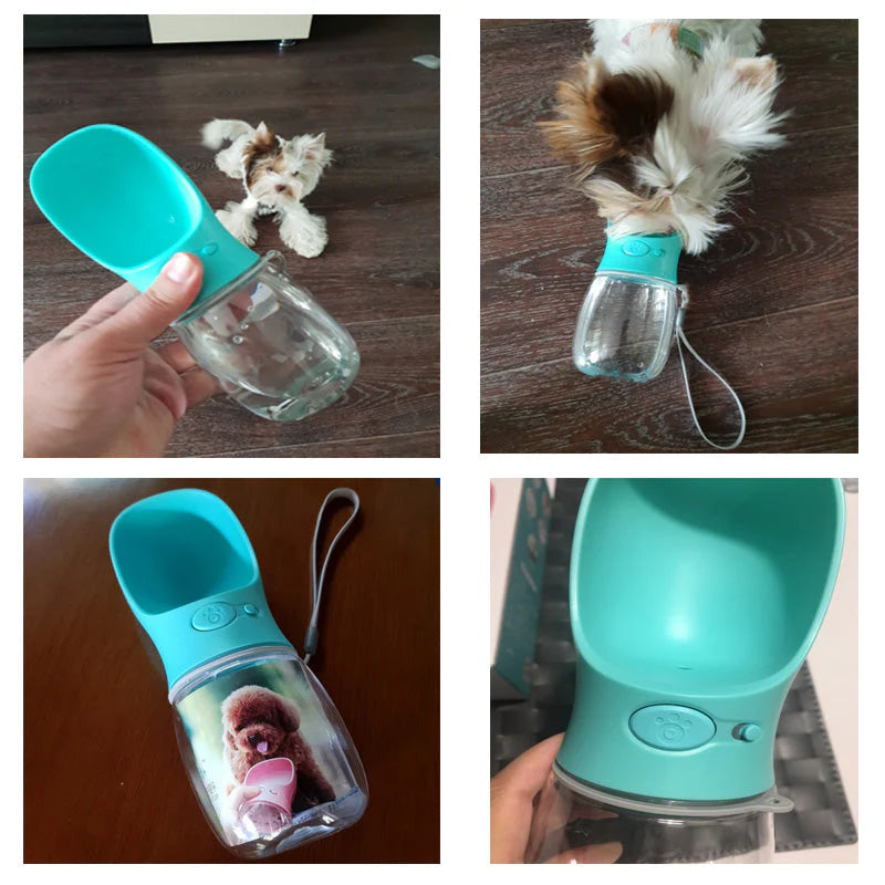 Trinkflasche Für Hunde Für Unterwegs