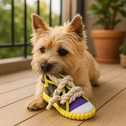 Quietsch-Slipper mit Robustem Baumwollseil – Zahnpflege & Spielspaß für Hunde