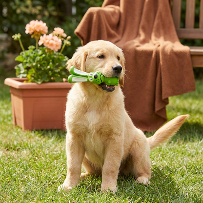 Robustes Hundekauspielzeug aus Naturlatex zur Zahnreinigung