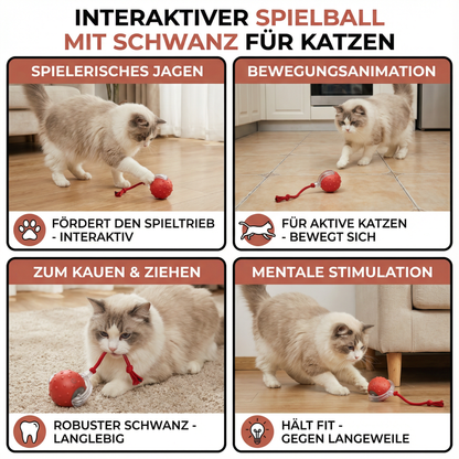 Interaktiver Spielball mit Schwanz für Katzen