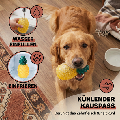 Kühlendes Hunde Kauspielzeug im Fruchtdesign