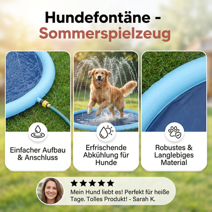 Hundefontäne - Sommerspielzeug
