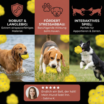 Robuster Springball für Hunde zum Stressabbau