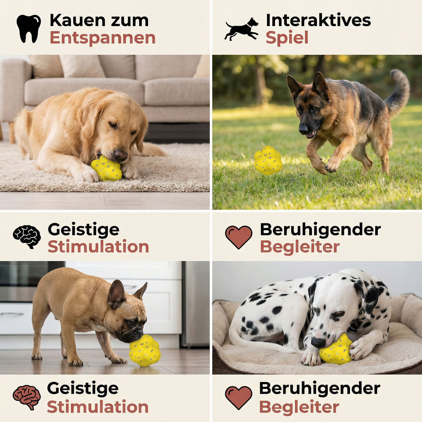 Robuster Springball für Hunde zum Stressabbau