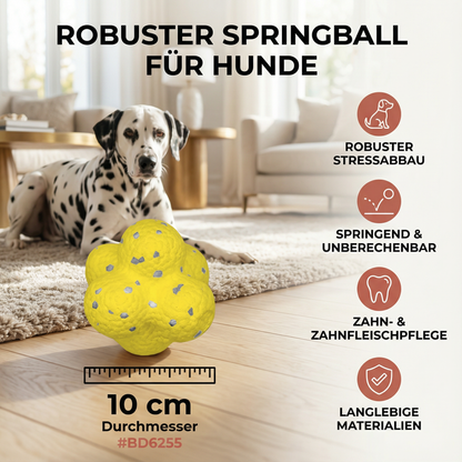 Robuster Springball für Hunde zum Stressabbau