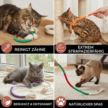 Natürliches Katzen-Kauseil – Robust, Zahnpflegend & Stressabbauend