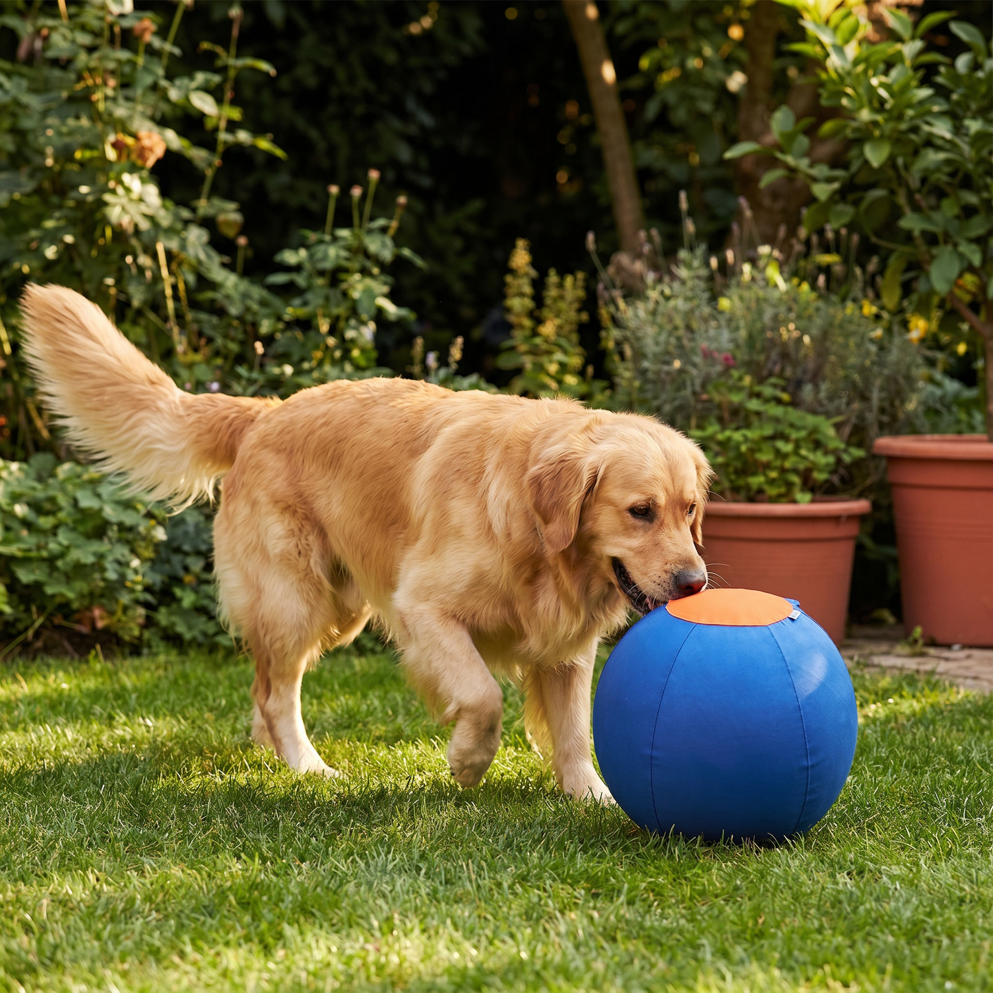 HerdBall - Interaktiver Hüteball für Hunde Robustes & Umweltfreundliches Spielzeug für aktive Rassen