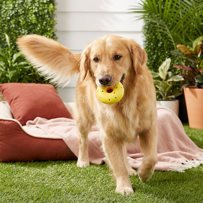 Buntes Donut-Quietschspielzeug für Hunde